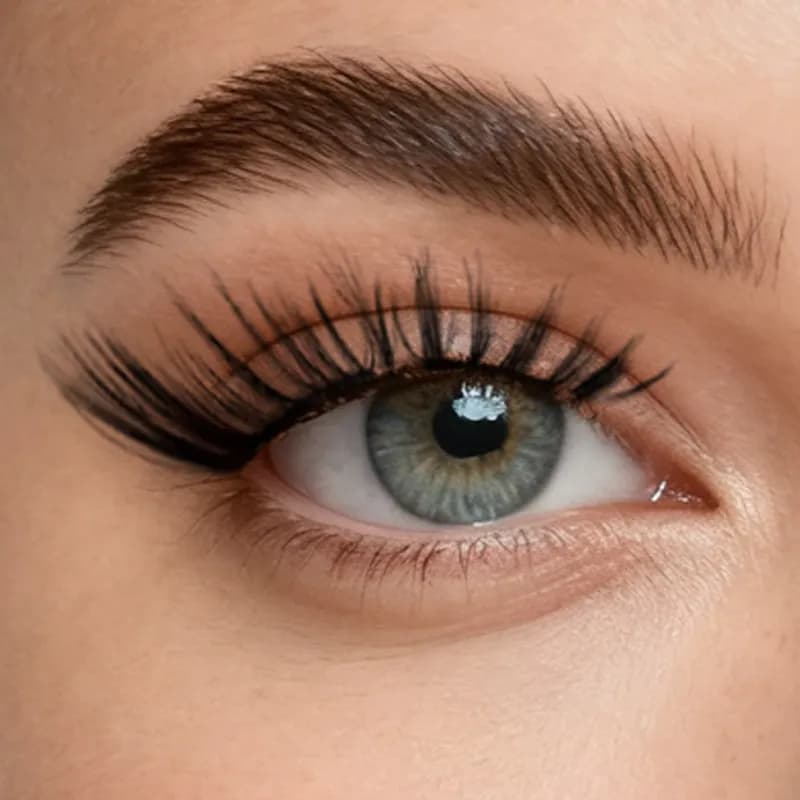 Foxy Black Lash