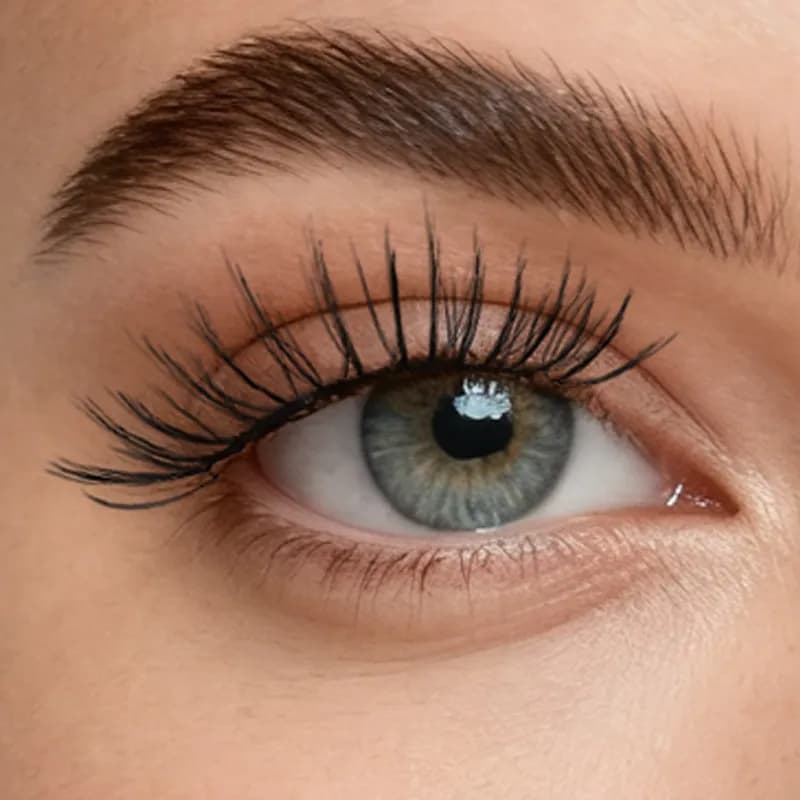 Meow Black Lash
