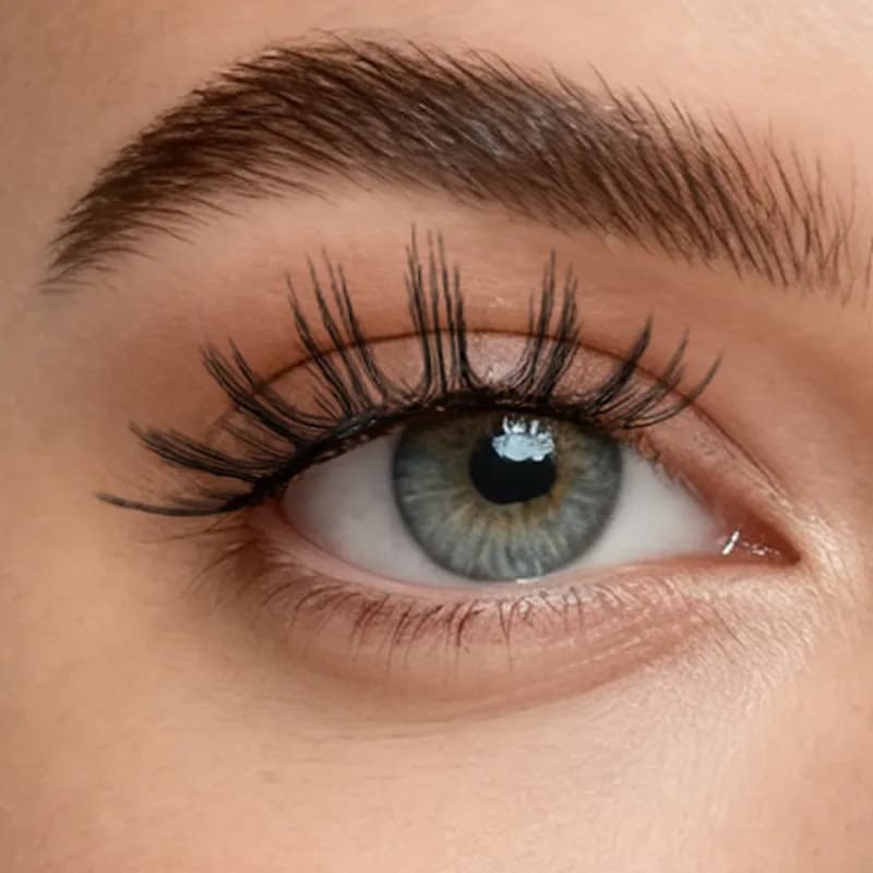 Plume Black Lash